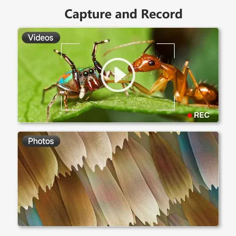 1600X USB Microscope 1080P HD Soldering Microscope with 8 LEDs for Android, Mac, Windows (X4)